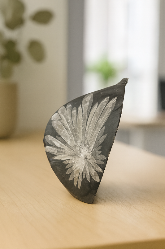 RAW CHRYSANTHEMUM NATURAL FLOWER STONE
