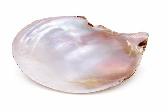 Mother Of Pearl - Raw