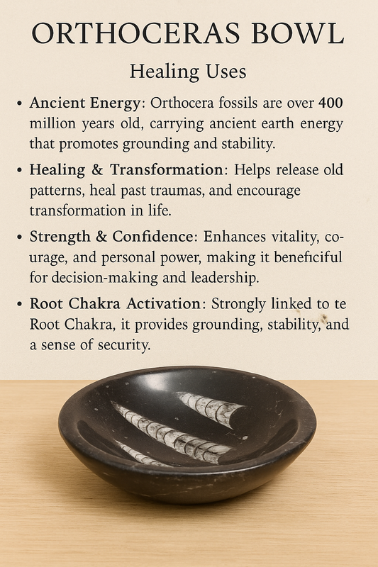 ORTHOCERAS BOWL